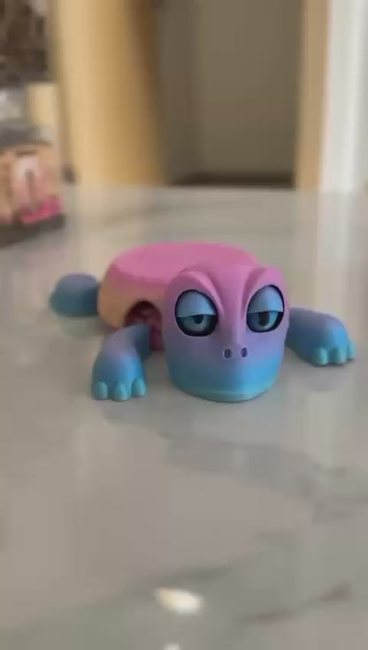 funny tortoies